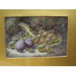 Oliver Clare (1853-1927) - gouache, still life gooseberries and grapes, signed, 6 x 9in