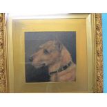 An oil on card, portrait of a terrier, unsigned, 9 x 9in., in moulded gilt frame, together with an