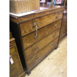 A burr walnut chest, four long drawers with brass hardware, 3ft.