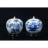 A pair of blue and white potiches and cover with naturalistic decoration, China, Qing [...]