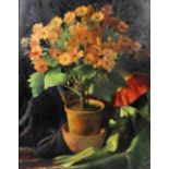 ***Colin Campbell (1894-1948) - Oil painting - Still life of flowering plant in a terracotta pot,