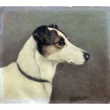 ***Walter Herbert Wheeler (1868-1960) - Oil painting - Study of the head of a Jack Russell, board