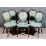 A set of six Victorian rosewood framed balloon back dining chairs, the moulded showwood frames