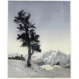 Hans Figura (20th Century Continental) - Coloured lithograph - Alpine scene in winter with pine tree