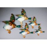 A set of five graduated Beswick pottery flying ducks, model No. 596, 5.75ins x 6ins high to 12ins