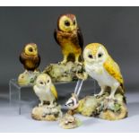 A Royal Crown Derby bone china model of a barn owl, naturalistically modelled standing on an ivy