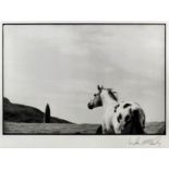 ***Linda McCartney (1941-1998) - Platinum print - "The Stallion and the Standing Stone" - Image of a