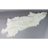 Ten winter arctic fox pelts