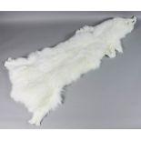 Ten winter arctic fox pelts