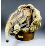 Reginald Price (20th Century) - Stoneware ceramic sculpture of a giant anteater, 20.5ins x 14ins