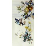 L. Pledge (19th/20th Century) - Pair of watercolours - Birds on Flowering and Fruiting Branches,