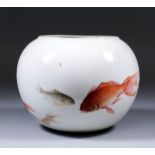 A Chinese white glazed porcelain spherical jar, enamelled in colours with fish, 6ins (15.3cm)