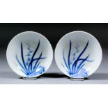 Two Japanese (Nabeshima) blue and white porcelain dishes painted with leaves and rocky outcrop, each