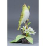 A Royal Worcester bone china limited edition model - "Wood Warbler", No. 56 of 250, 8ins high,