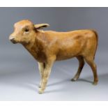 A late 19th Century French Butchers Shop display model of a calf covered with calf hide and with