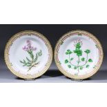 A pair of early 20th Century Royal Copenhagen porcelain "Flora Danica" plates, the centres painted