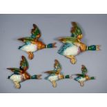 A set of five graduated Beswick pottery flying ducks, model No. 596, 5.75ins x 6ins high to 12ins