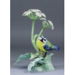 A Royal Worcester bone china limited edition model - "Blue Tit", No. 68 of 250, 8ins high, with