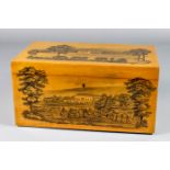 A Victorian Mauchline ware sycamore and penwork tea caddy by C. Stiven Lau & Kirk, the lid decorated
