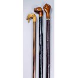 A late 19th/early 20th Century walking cane with black painted rustic shaft, the walnut top carved