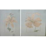 KEVIN D. PARKS PAIR OF GOUACHE DRAWINGS ON GREY PAPER Specimen orchids signed 29" x 24" (73.8cm x