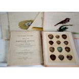 SEEBOHM. HENRY. Coloured Figures of the Eggs of British Birds. Pub 1896, Dismembered copy with