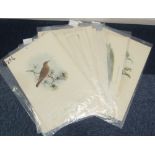J. GOULD AND W. HART HAND COLOURED LITHOGRAPHIC BOOK PLATE ORNITHOLOGICAL PRINTS NINE, with