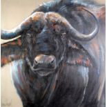 DEMI MOREL (Twentieth Century) OIL ON CANVAS Buffalo Signed 31 1/2" x 31 1/2" (80cm x 80cm)