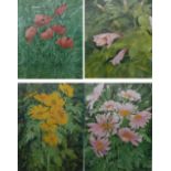 VALERIE ANNE PYE SET OF FOUR ARTIST SIGNED LIMITED EDITION COLOUR PRINTS Floral Studies - '