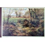 DAVID DIPNALL ARTIST SIGNED LIMTED EDITION COLOUR PRINT No. 142/500 'Spring - The Awakening' 15 3/4"