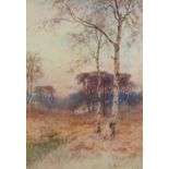 PAUL BERTRAM (1833 - 1901) WATERCOLOUR DRAWING Forest scene Signed lower right 13½" x 9½" (34.3 x