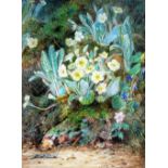 A. M. FITZJAMES WATERCOLOUR DRAWING Primroses on a mossy bank Signed 14" x 10 1/2" (35.6cm x 26.