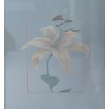 KEVIN D. PARKS PAIR OF GOUACHE DRAWINGS ON GREY PAPER Specimen orchids signed 29" x 24" (73.8cm x