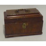 A GEORGE III MAHOGANY TEA CADDY with cable inlaid borders and brass, carrying handle on brass ball