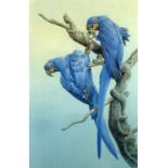 DAVID JOHNSON ARTIST SIGNED COLOUR PRINTS, SEVEN 'Gyrfalcons, Macaws, Cockatoos and Parrots each