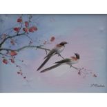 Y. PRIDDIS (Twentieth/Twenty First Century) OIL PAINTING ON CANVAS Pair of birds on a bough Signed