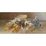 LILY S. POULTON (EARLY TWENTIETH CENTURY) WATERCOLOUR 'Spring flowers from nature' signed and