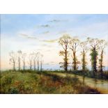 MARY SHAW PAIR OF OIL PAINTINGS Evening landscapes Signed 12" x 16" (30.4cm x 40.6cm)