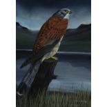 JOHN CRANK (1923-2008) GOUACHE 'Kestrel' Signed and titled 13 1/2 x 9 1/2" (34.3cm x 24.1cm)