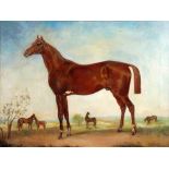 ATTRIBUTED TO H. HALL OIL PAINTING ON CANVAS Horse Portrait Signed lower right 17" x 20" (43.2cm x