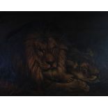 UNATTRIBUTED (19th CENTURY) OIL PAINTING ON CANVAS Lion and lioness at rest 24" x 36" (61 x 91.