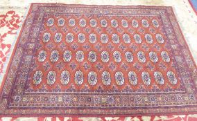 BOKHARA STYLE LARGE RUG with four rows of eleven guls on a red field, multiple border stripes, 7'