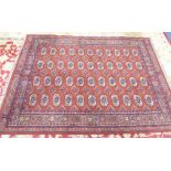 BOKHARA STYLE LARGE RUG with four rows of eleven guls on a red field, multiple border stripes, 7'