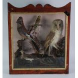 W. WYATT, EARLY 20th CENTURY TAXIDERMIC CASED DISPLAY OF FOUR VARIOUS BIRDS in naturalistic