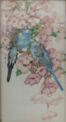 KAY NIXON WATERCOLOUR ON RICE PAPER Detailed study of two blue Budgerigars on flowering branch