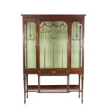 EARLY TWENTIETH CENTURY CARVED MAHOGANY DISPLAY CABINET, in the Adams style, the moulded dentil