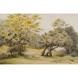 B. DRABBLE (Twentieth Century) WATERCOLOUR DRAWING Country path in wooded landscape Signed 12 3/4" x