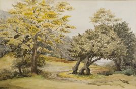 B. DRABBLE (Twentieth Century) WATERCOLOUR DRAWING Country path in wooded landscape Signed 12 3/4" x
