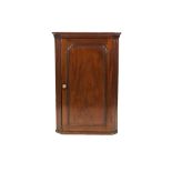 GEORGE III MAHOGANY CORNER CUPBOARD, the moulded cornice above a panelled door and stop footed