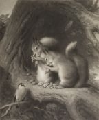 SAMUEL COUSINS (Engraver) MEZZOTINT ENGRAVING Two Squirrels and a bird Signed in pencil, Published